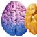Какие продукты улучшают память и работу мозга?